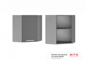 ШКАФ НАВЕСНОЙ УГЛОВОЙ 6УВ1 (600Х600Х720Х311) КГ Крафт в Талице - talica.ok-mebel.com | фото